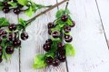 IMG_5681.JPG