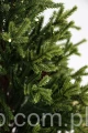 IMG_5715.JPG
