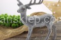 IMG_5776.JPG