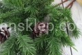 IMG_5760.JPG