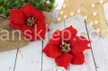 IMG_5763.JPG