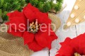 IMG_5765.JPG