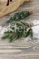 IMG_5852.JPG