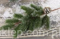 IMG_5853.JPG