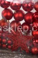 IMG_5890.JPG
