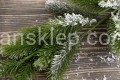 IMG_5967.JPG