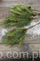 IMG_6039.JPG