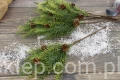 IMG_6042.JPG
