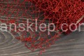 IMG_6094.JPG
