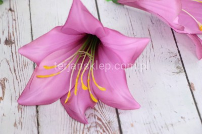 Lilia kielichowa J180 (12 szt) dk pink L21