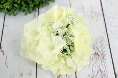 Hortensja L036 cream yellow #H03 / dk cream #H-65