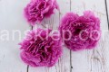 328.JPG