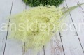 374.JPG