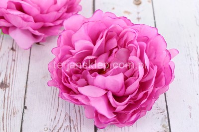 Peonia wyrobowa SUN406 (12 szt) pink edge pink #2861