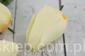 477.JPG