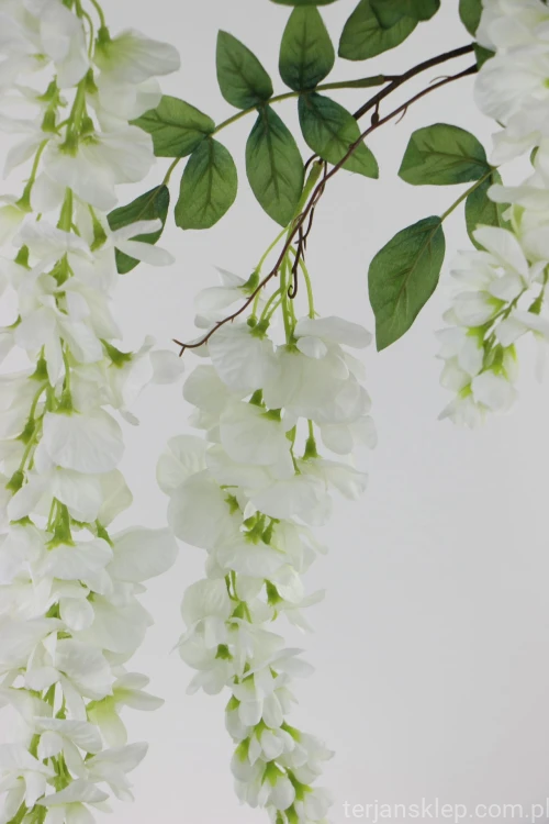 Wisteria | Kwiaty sztuczne jak żywe