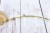 752.JPG