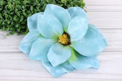977.JPG