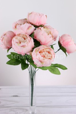 Bukiet peonii CV08635 j.róż #12
