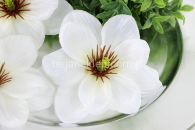 Magnolia wyrobowa MNIEJSZA CK87 (12 szt) biel/krem #1 