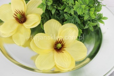 Magnolia wyrobowa MNIEJSZA CK87 (12 szt) lt yellow #18