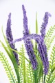 1356.JPG