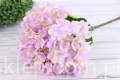 1418.JPG