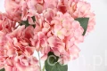 2018.JPG