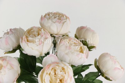 Bukiet peonii CV08635 cream lt pink #24/17