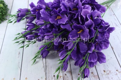 Mieczyk BL019 ABC (12 szt) new dk lilac