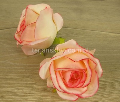 Róża wyrobowa MGHT (12 szt) cream edge pink #53