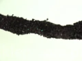 36f5a798baab76bbd8a09a2bea32feb8a138c6a8