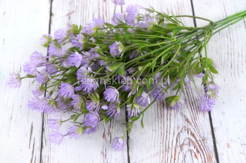 2231.JPG