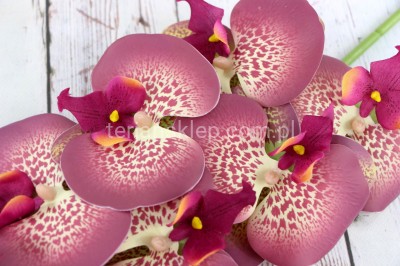 Storczyk gumowy L054 (dk beauty cieniow.)