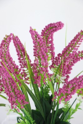 Szczawie kuleczkowe w buk. H367 (1 szt) beauty