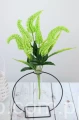 2341.JPG