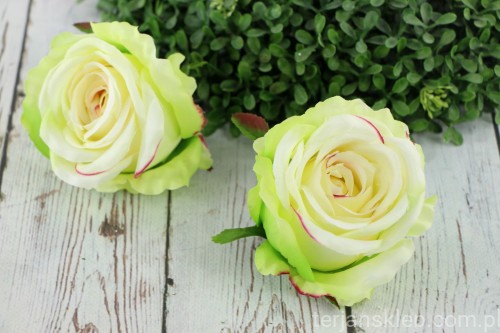 2886.JPG