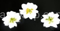 8dd95ca0f2e510c122ddd8a09e56e8d9670e2e73