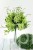2920.JPG