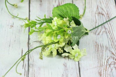 Kalina pik (12 gał.) LIU254  lt green #asst3