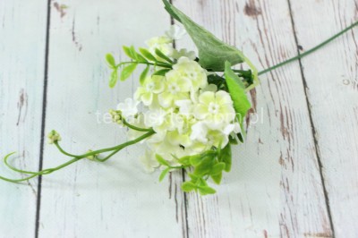 Kalina pik (12 gał.) LIU254 cream green #asst3