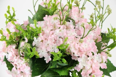Kalina pik (12 gał.) LIU254 lt pink cream #asst3