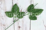 Łodyga do róży BL056 / KS78 (24 szt)