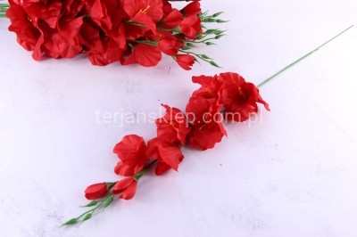 Mieczyk BL019 ABC (12 szt) red S081