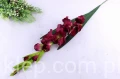 3143.JPG