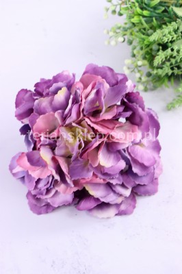 Hortensja wyrobowa CK62 A aut lilac/aut pink