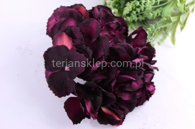 Hortensja wyrobowa CK62 B beauty black