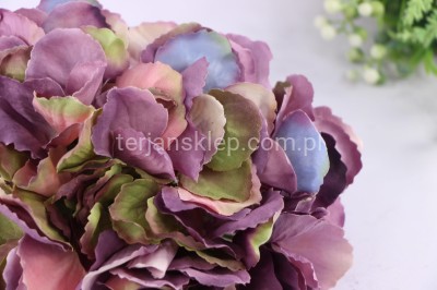 Hortensja wyrobowa CK62 B aut dr pink olive