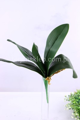 Liście storczyka gumowe CV10514