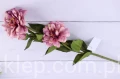 3482.JPG